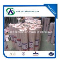 1 Inch Galvanized Welded Wire Mesh